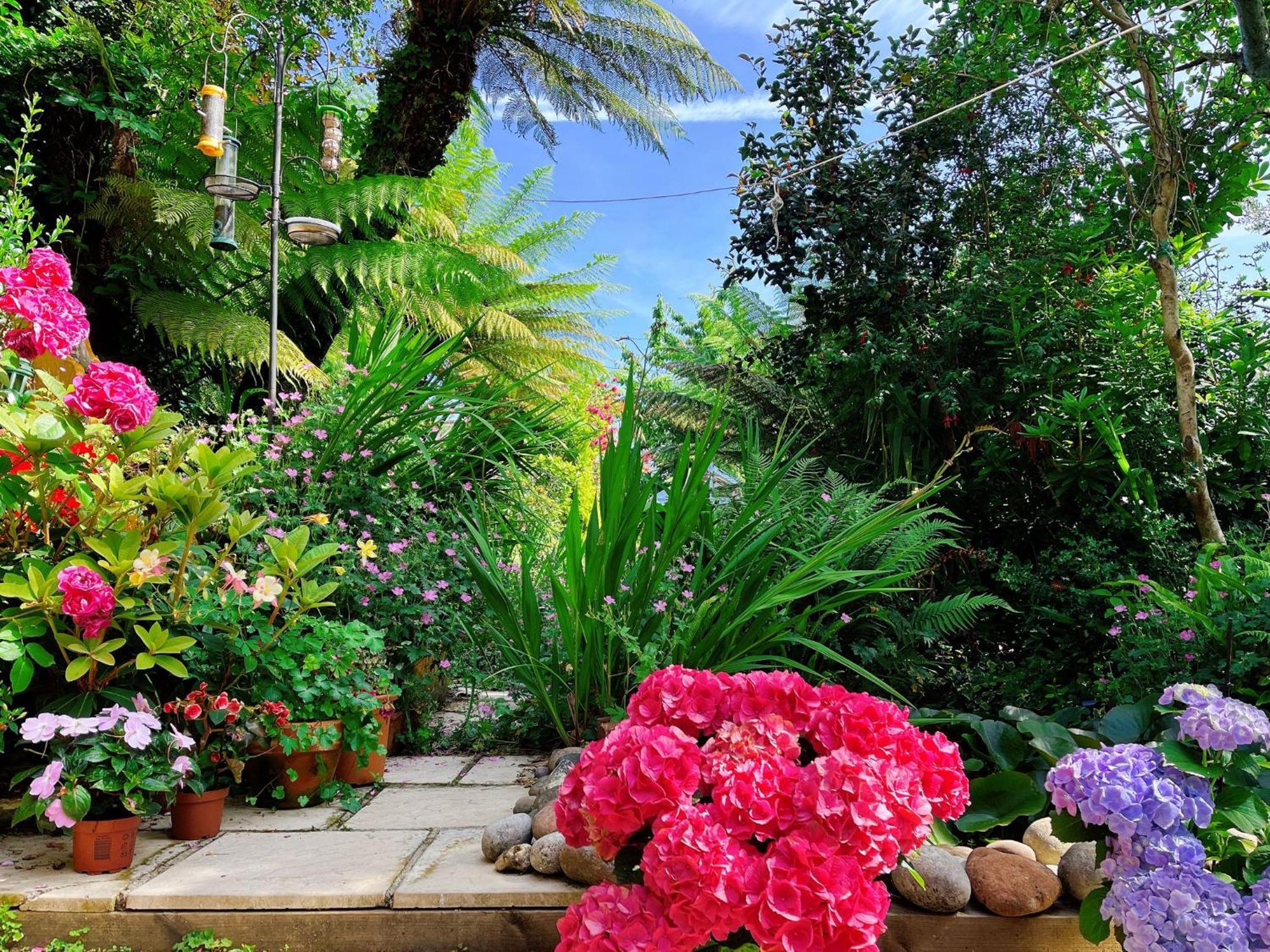 Bed and Breakfast Funky Urban Jungle Кардифф Экстерьер фото